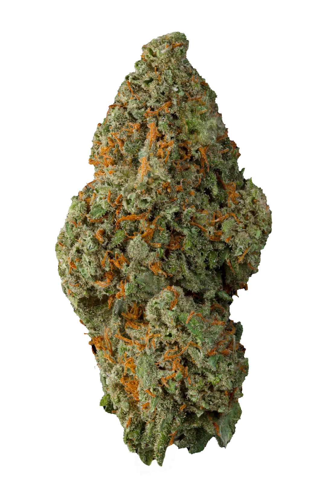 Mont Blanc Cannabis Light Greenhouse - CBD