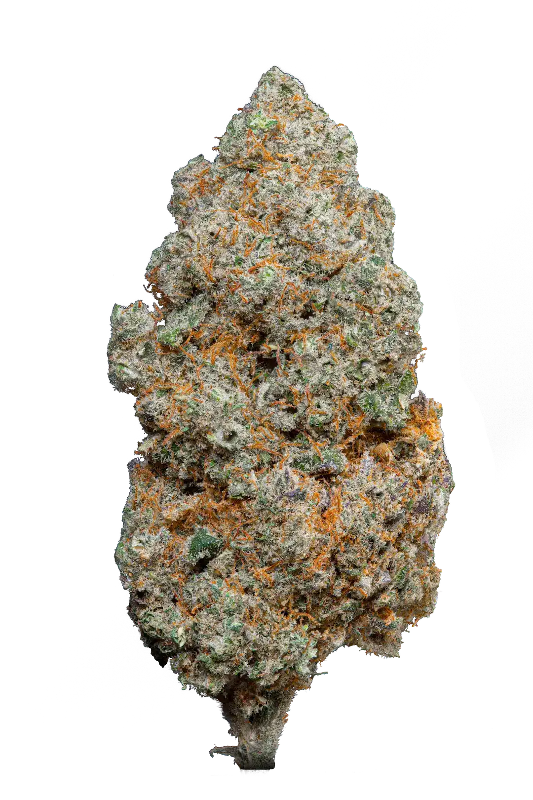 mela sour - cbd - cannabis light - erba legale - premium - indoor - top quality