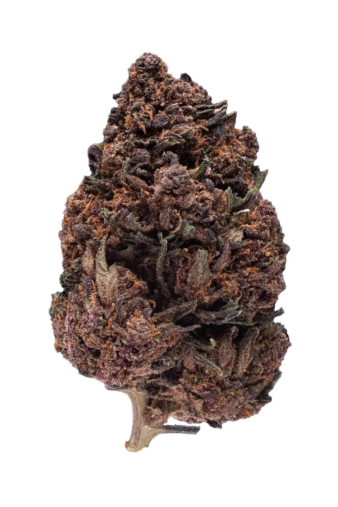 Cannabis Light Pink Lady CBD - Greenhouse