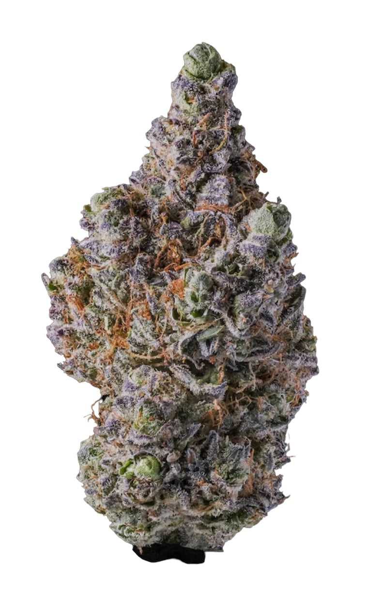 cali drizze - cbd - cannabis light - erba legale - premium - indoor - top quality