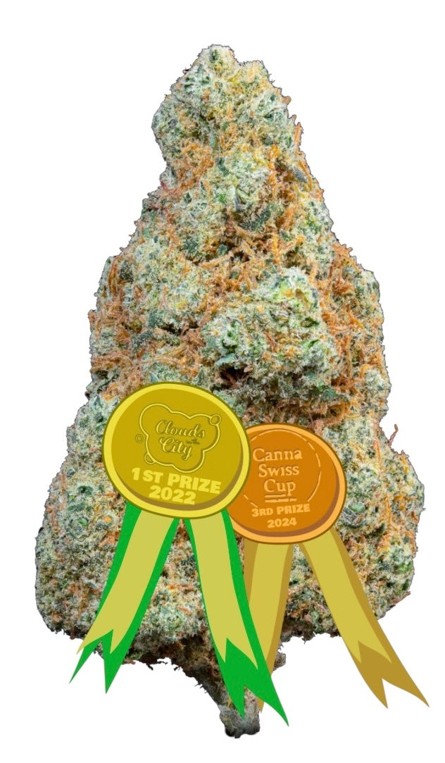 Gorilla Mandarine - Cbd - Cannabis Light - Indoor - Top Quality