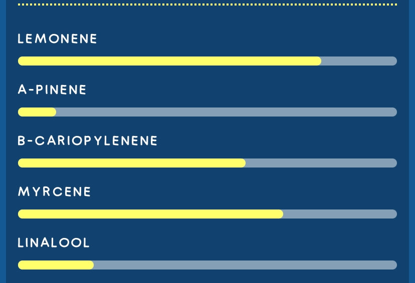 GORILLA MANDARINE 2024 | CBD | CANNABIS LIGHT | TOP QUALITY