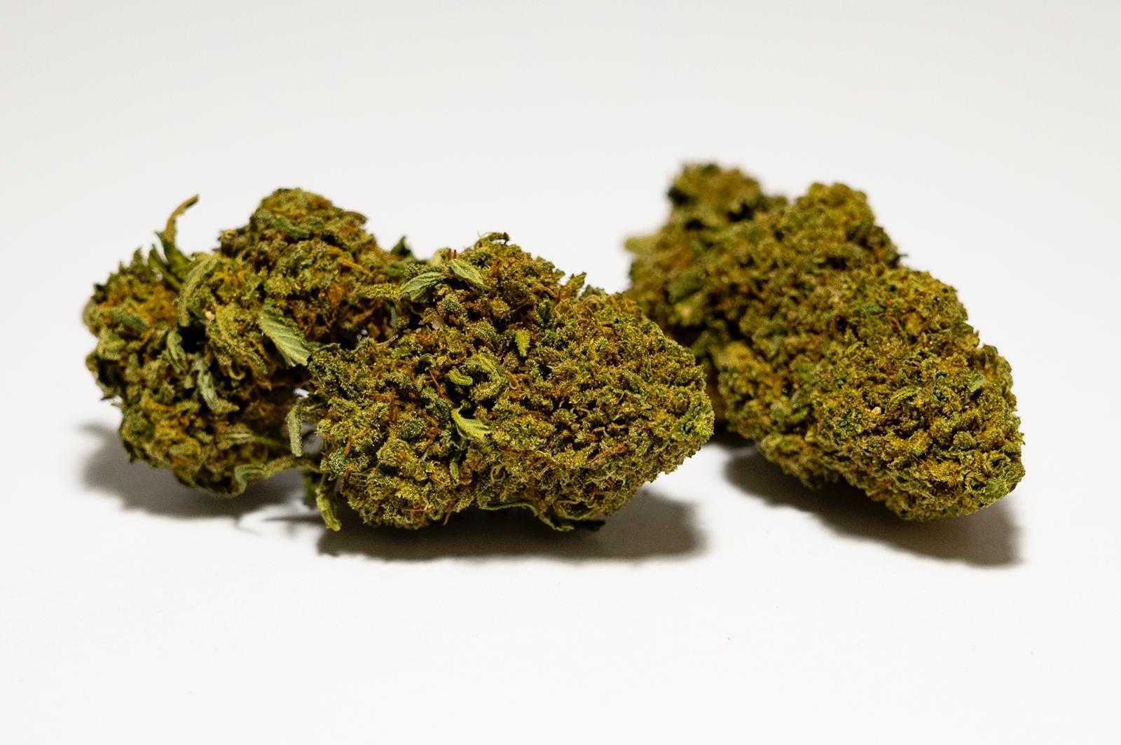 START PACK 5g CANNABIS LEGALE CBD TOP QUALITY