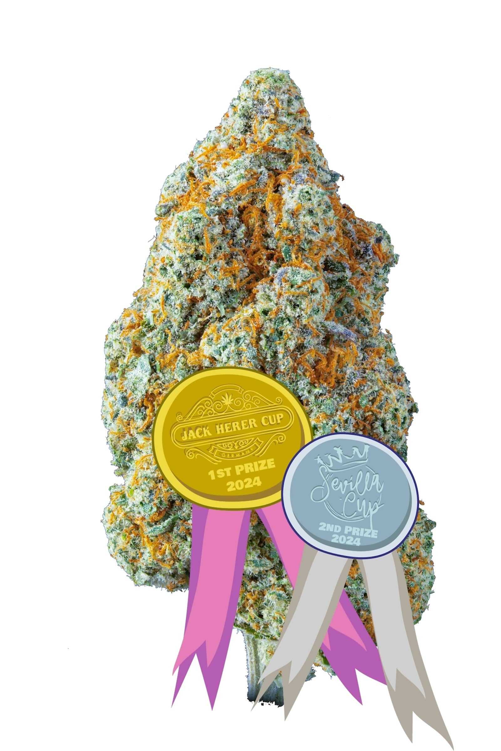 trinciato di cannabis light cbd indoor top quality infiorescenze premium cima