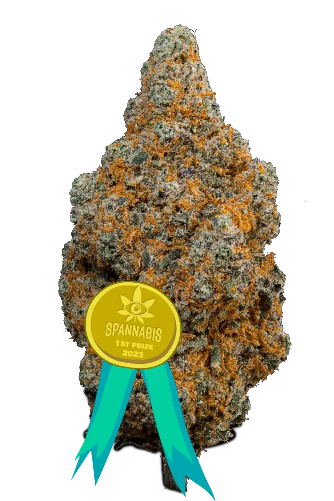 fiore dove si ricava il trinciato di zenf fruit cannabis light cbd top quality