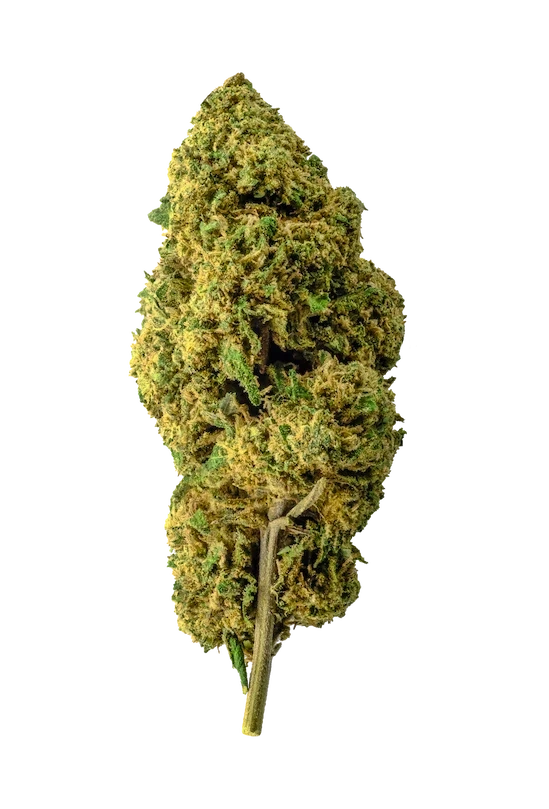 bubble gum cbd cannabis light legale outdoor fresca e profumata con note dolci leggera