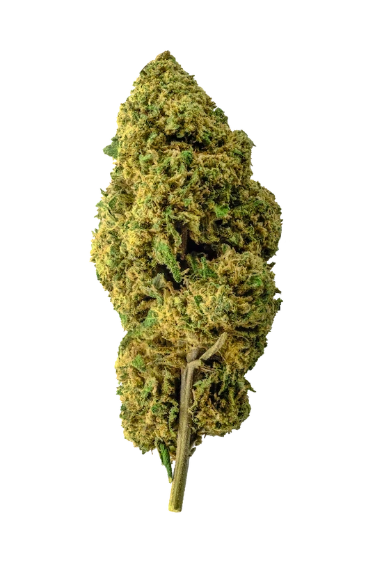 bubble gum cbd cannabis light legale outdoor fresca e profumata con note dolci leggera