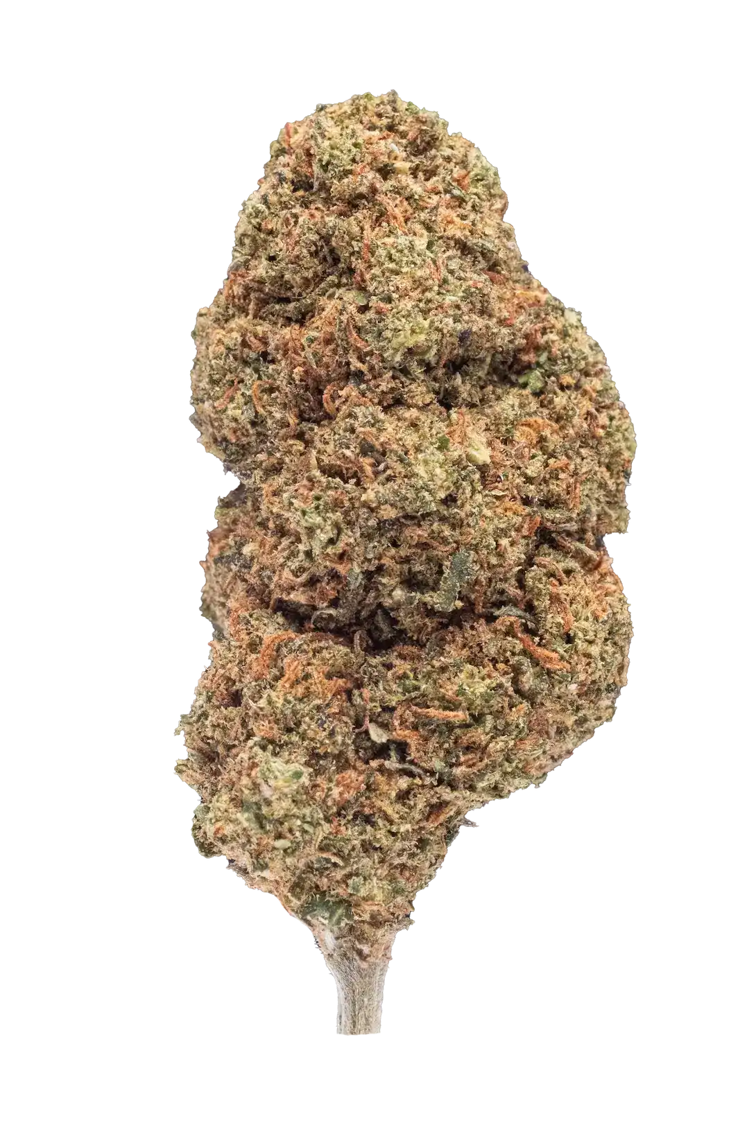 Dream Queen Cbd - Cannabis Light - Greenhouse