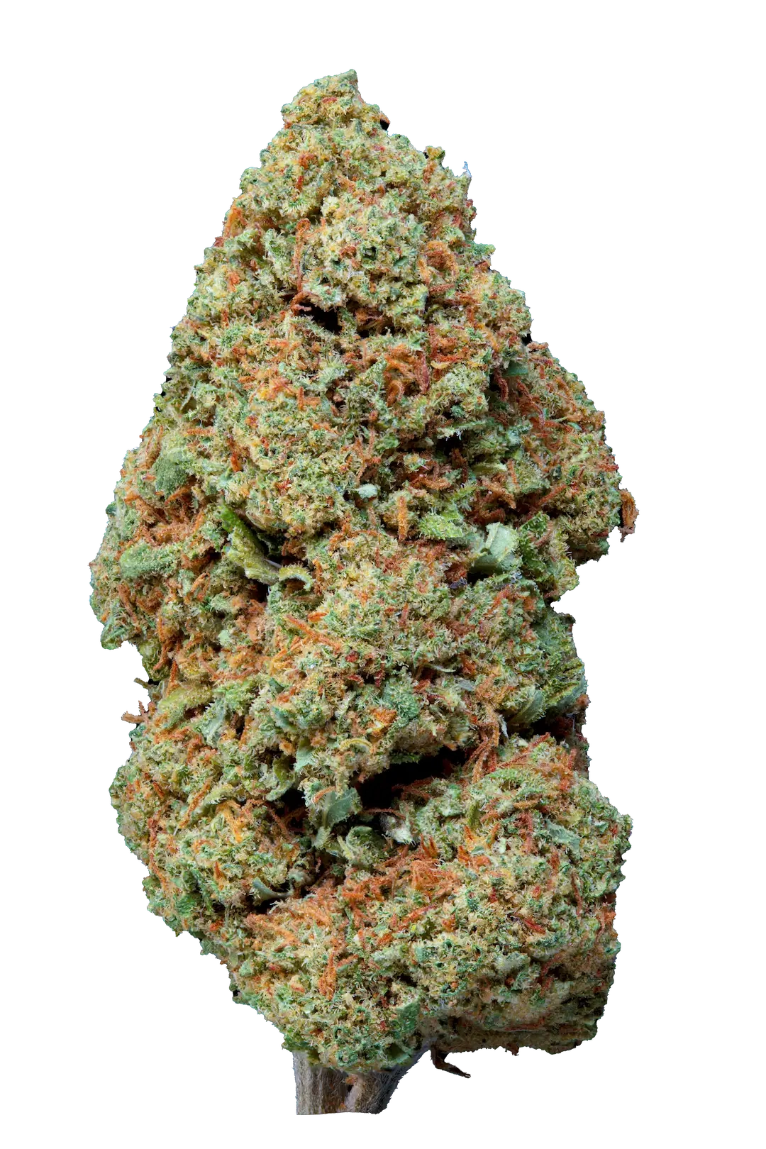 Raspberry Muffin - Cbd- Cannabis Light - Greenhouse