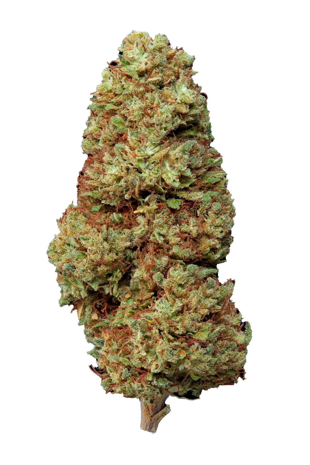 Lemon Haze - Cbd- Cannabis Light - Greenhouse