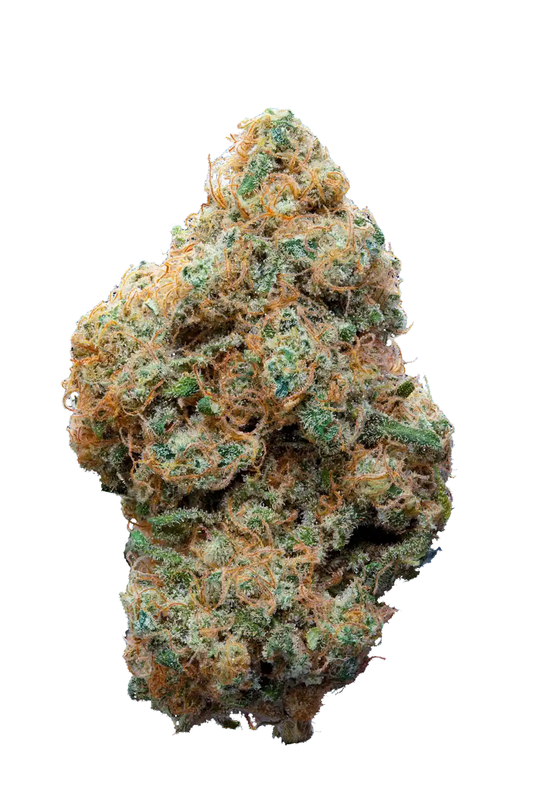 F.O.G - Cannabis light - Cbd - Erba legale - Premium - Indoor