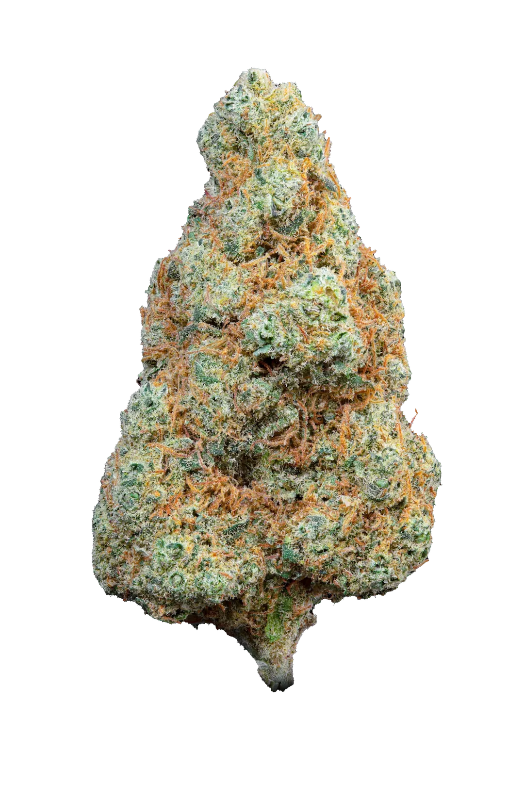 gorilla mandarine - cannabis light - erba legale - premium - indoor - top quality