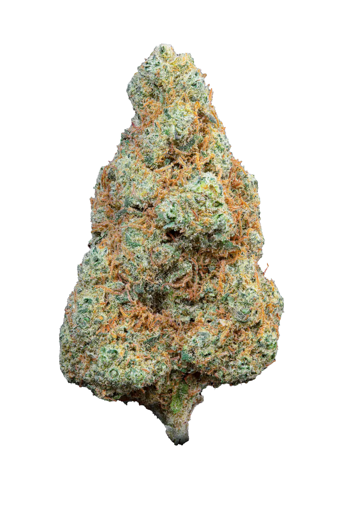 Gorilla Mandarine - Cbd - Cannabis Light - Indoor - Top Quality