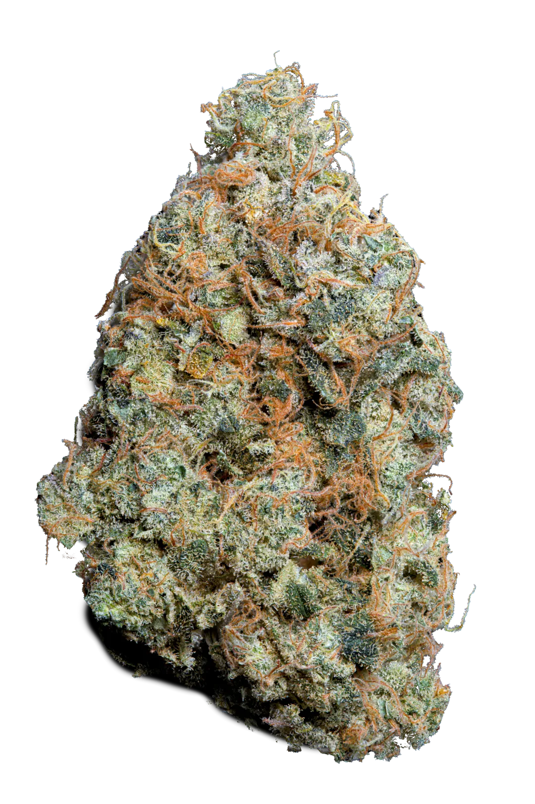 Cannabis - Light - Cbd - indoor - Top quality - infiorescenza - legale - erba - weed