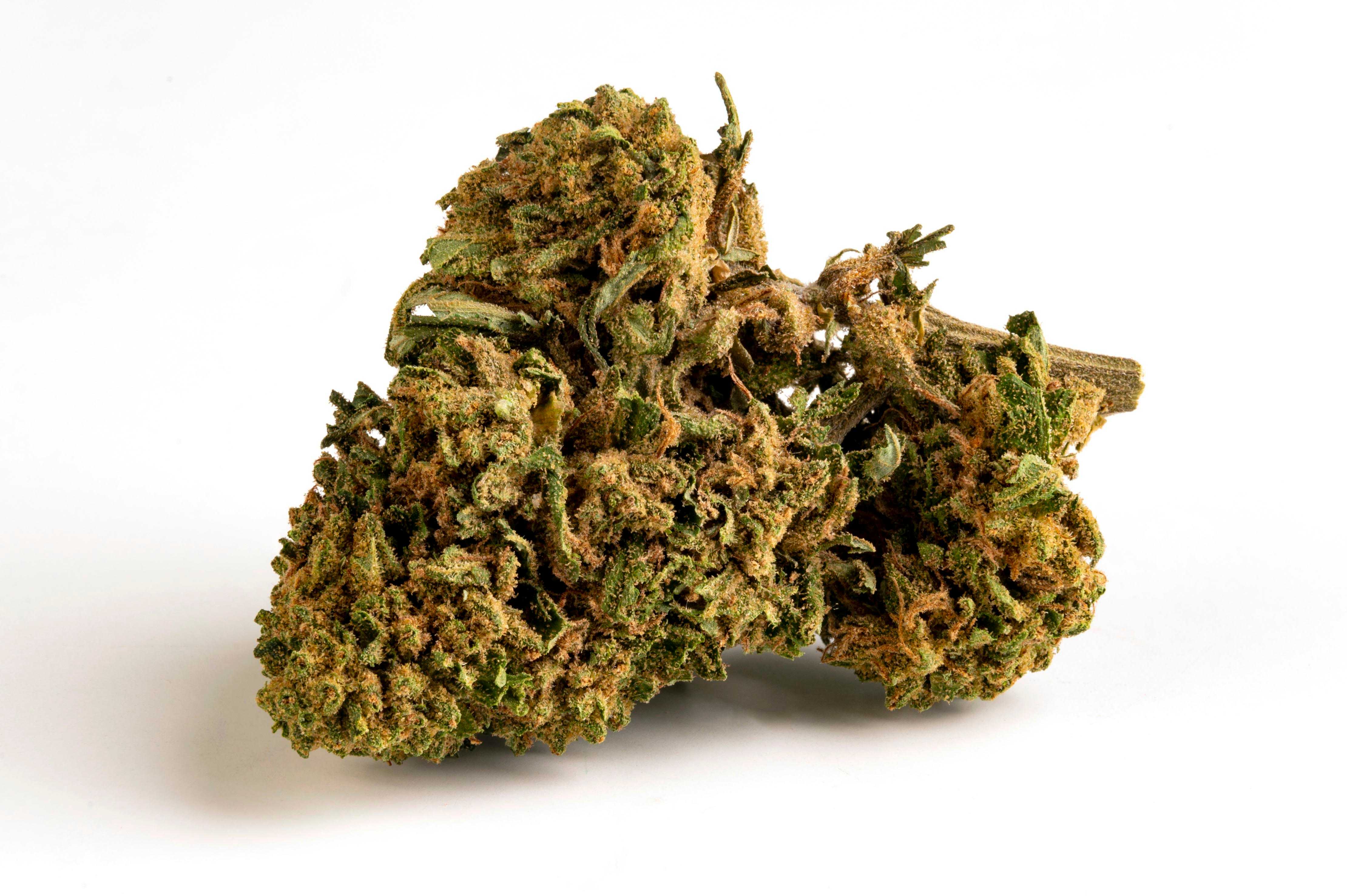 Green Poison - Cannabis Light - Cbd - Outdoor