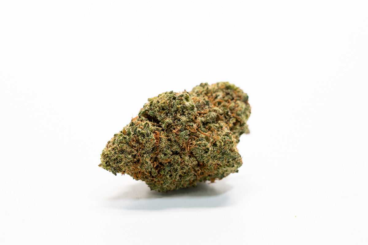 ROYAL CHEESE CBD TOP QUALITY