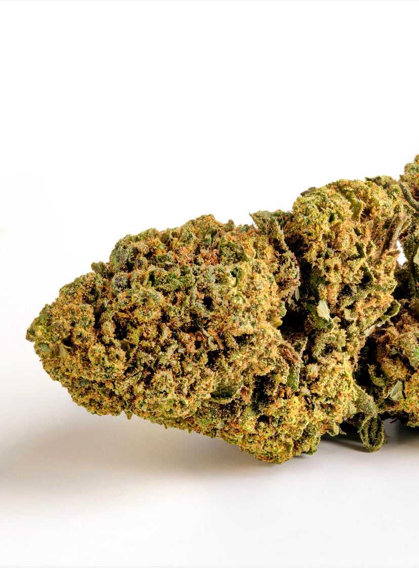 Gin Tonic - Cannabis Light - Cbd - Outdoor