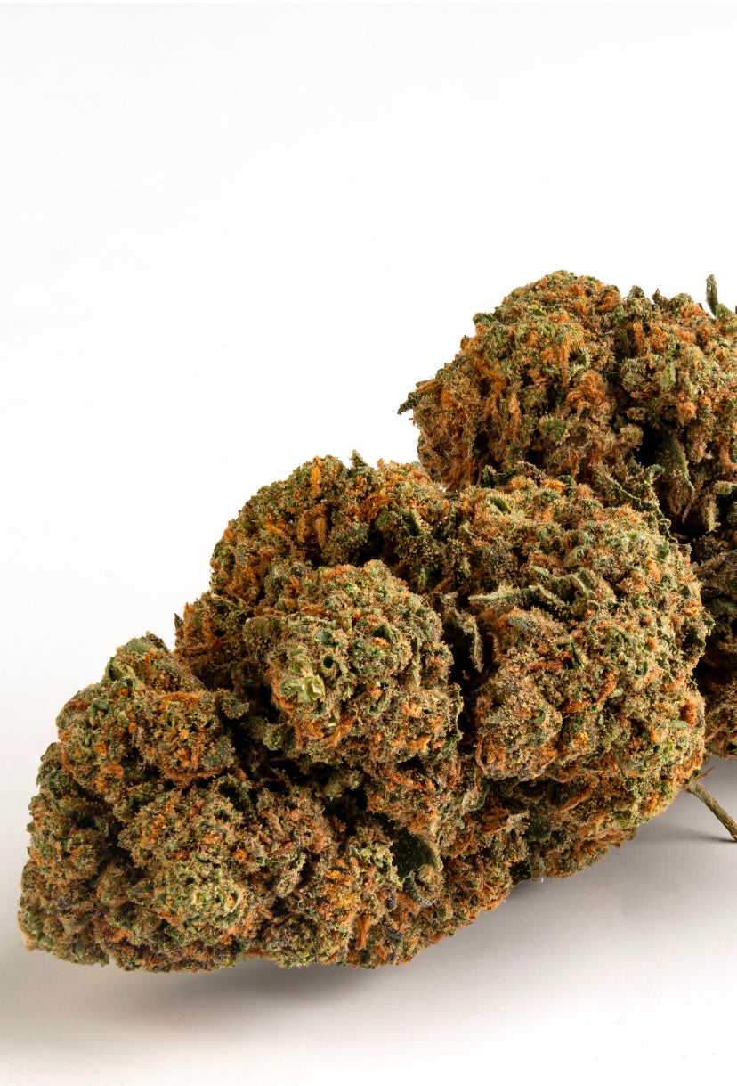 Cannabis Legale Orange Bud Outdoor - CBD