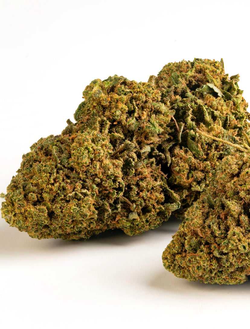 Gin Tonic - Cannabis Light - Cbd - Outdoor