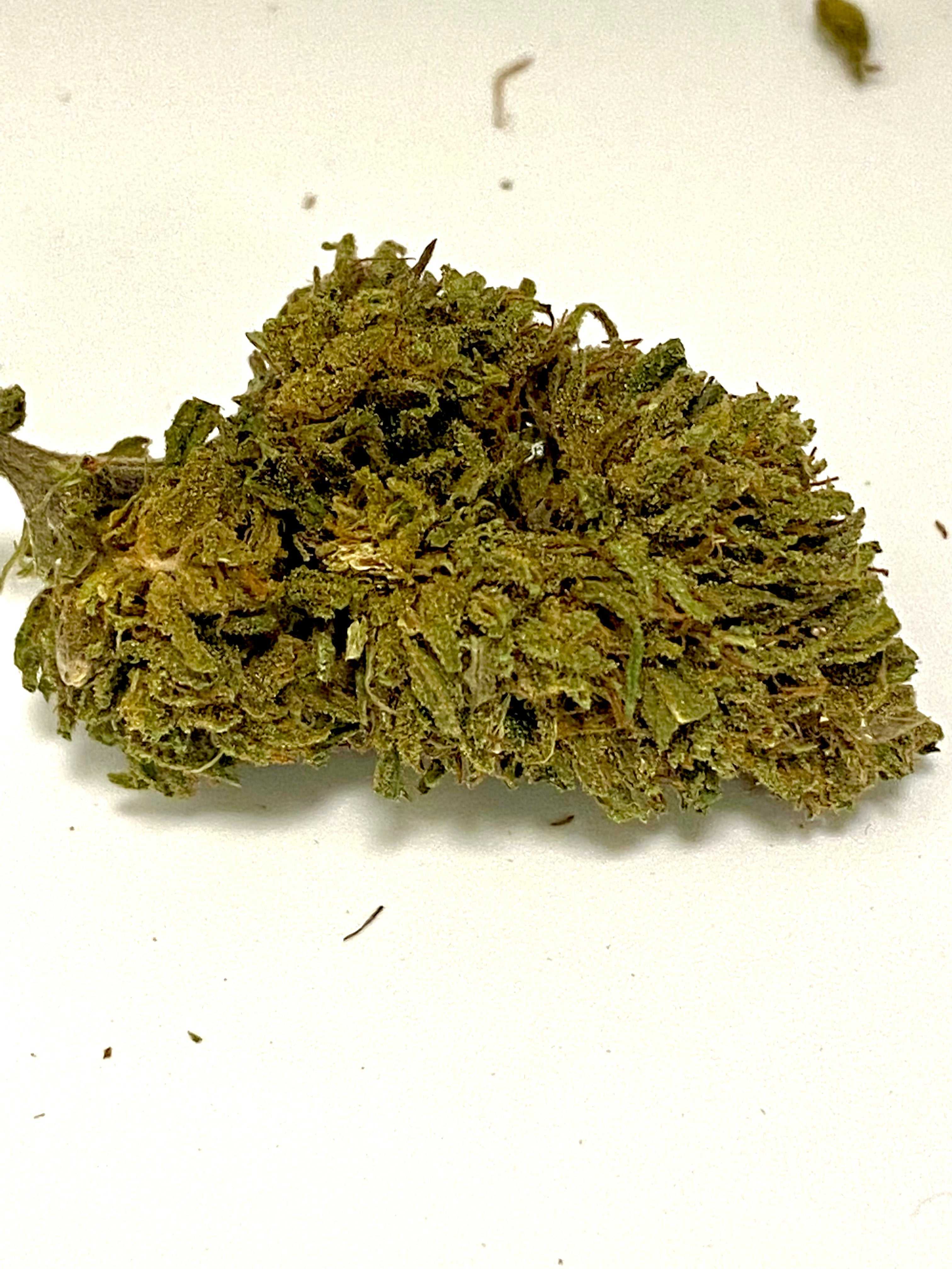 CBD Outdoor Swiss Beauty - Offerta Speciale