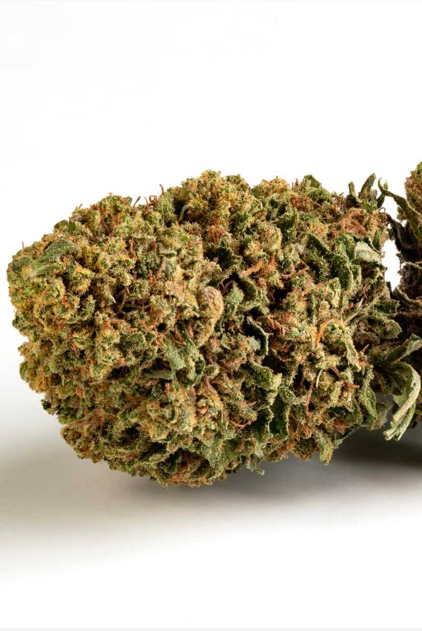 CBD Outdoor Boris Kiwi 2.0