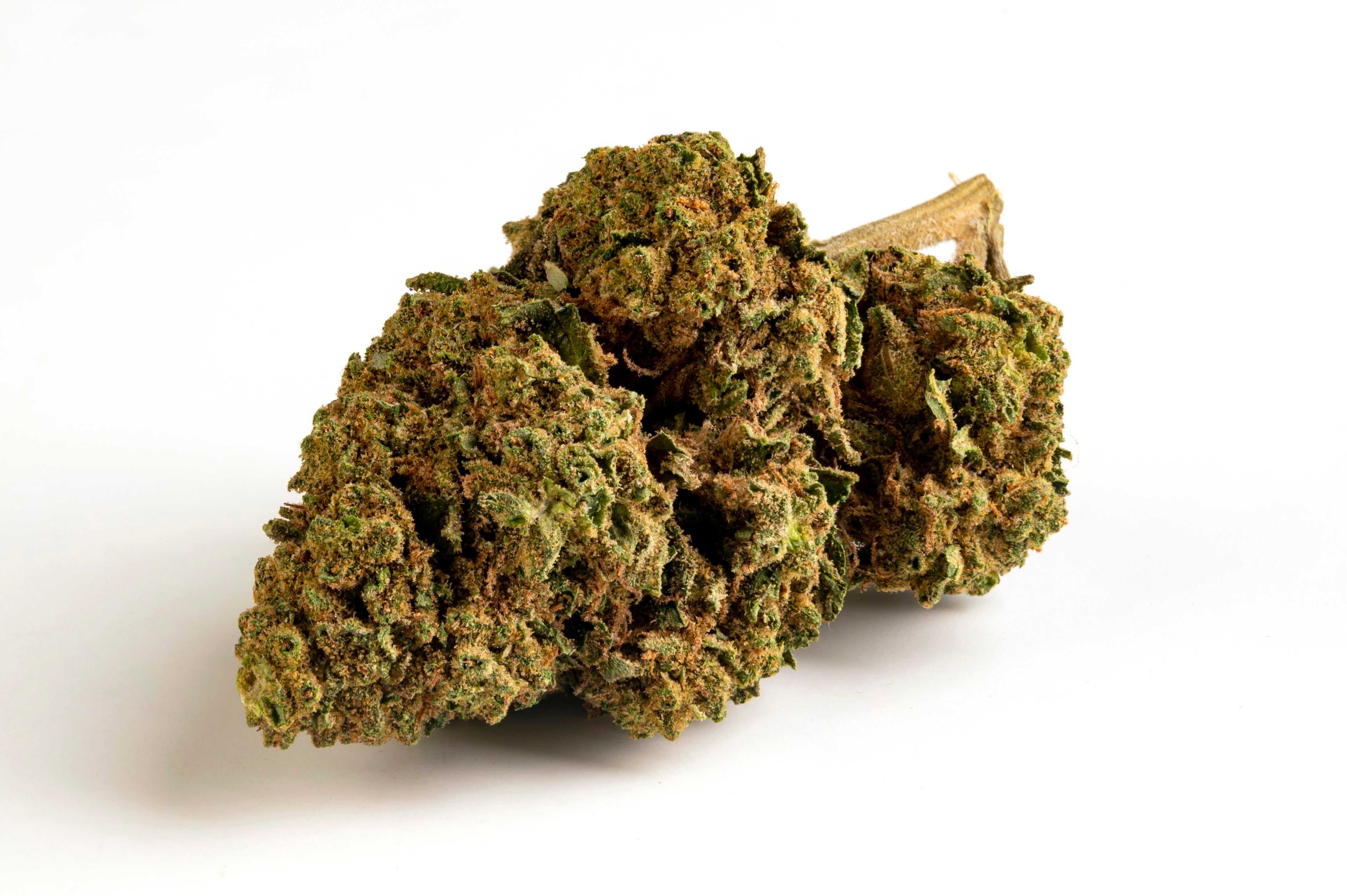 Green Poison - Cannabis Light - Cbd - Outdoor