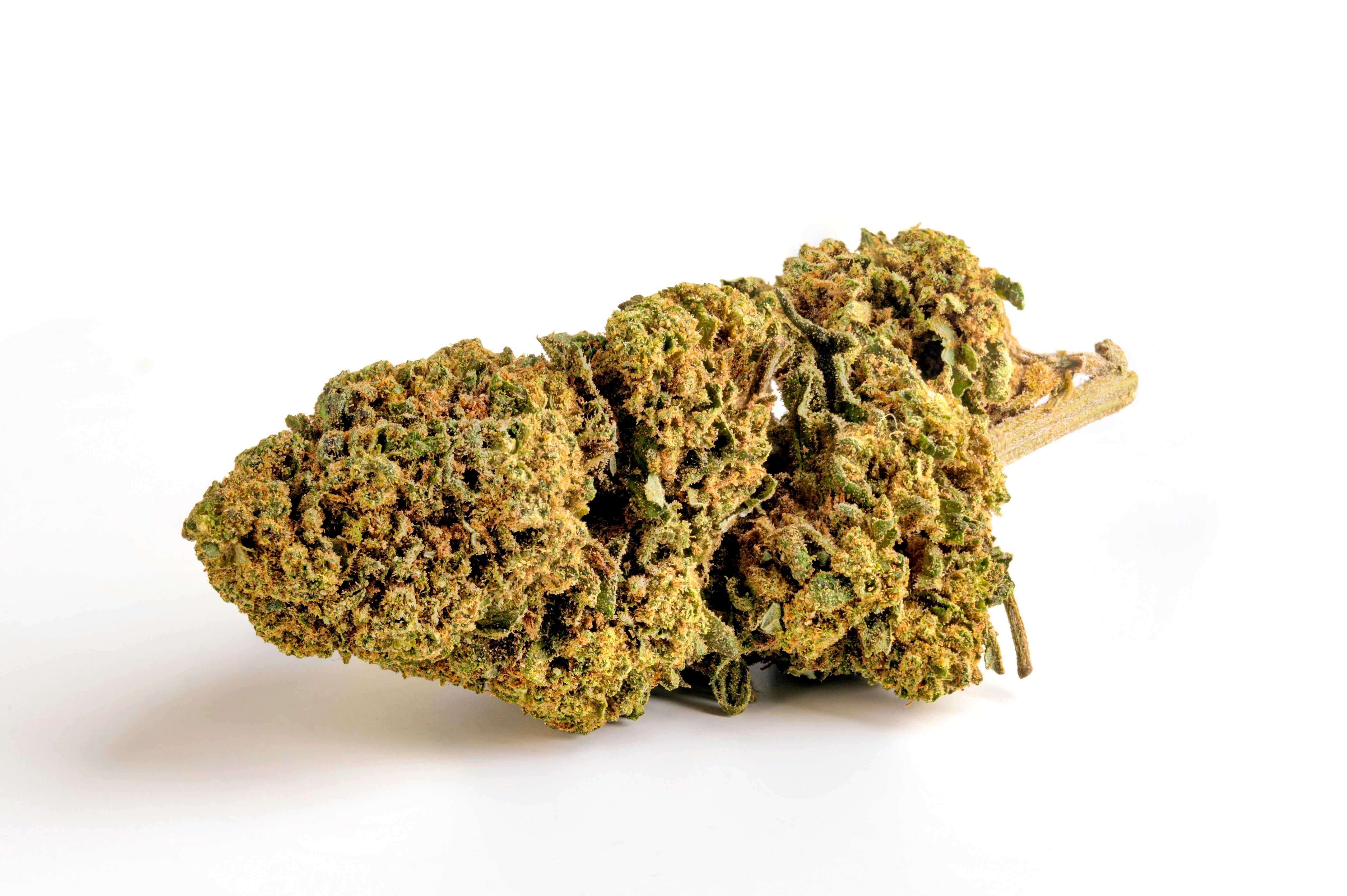 Gin Tonic - Cannabis Light - Cbd - Outdoor