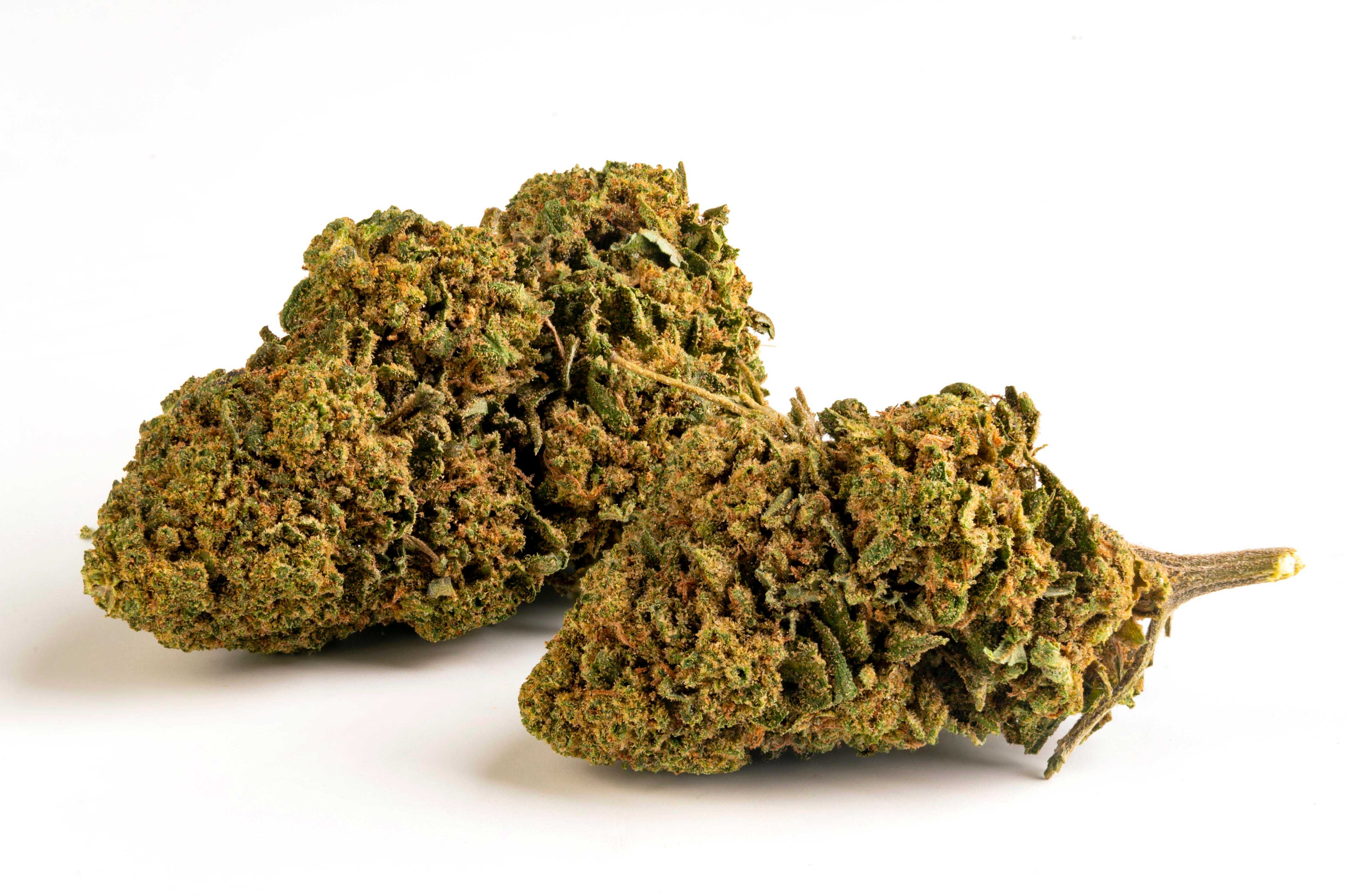 Gin Tonic - Cannabis Light - Cbd - Outdoor