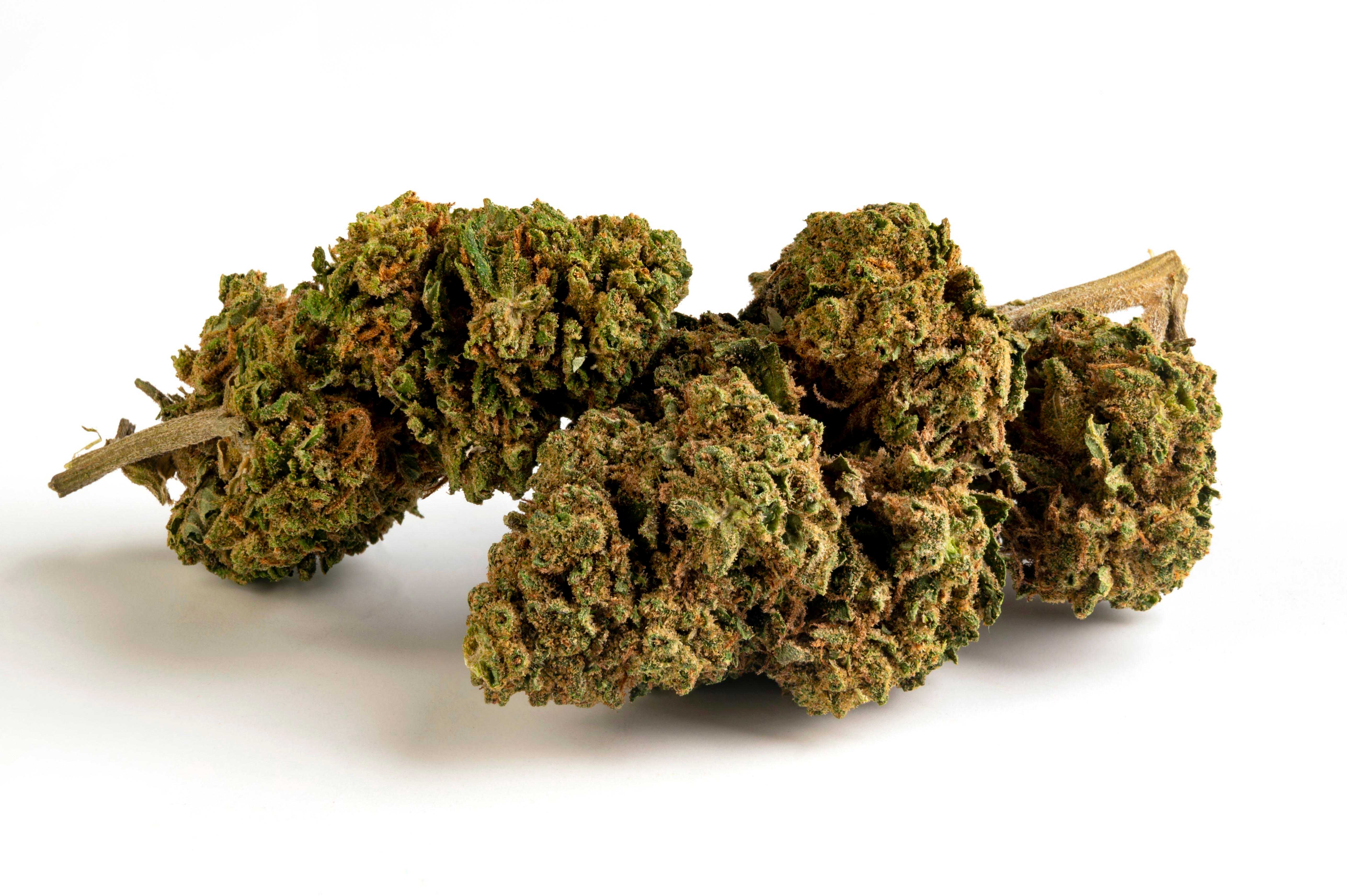 Green Poison - Cannabis Light - Cbd - Outdoor