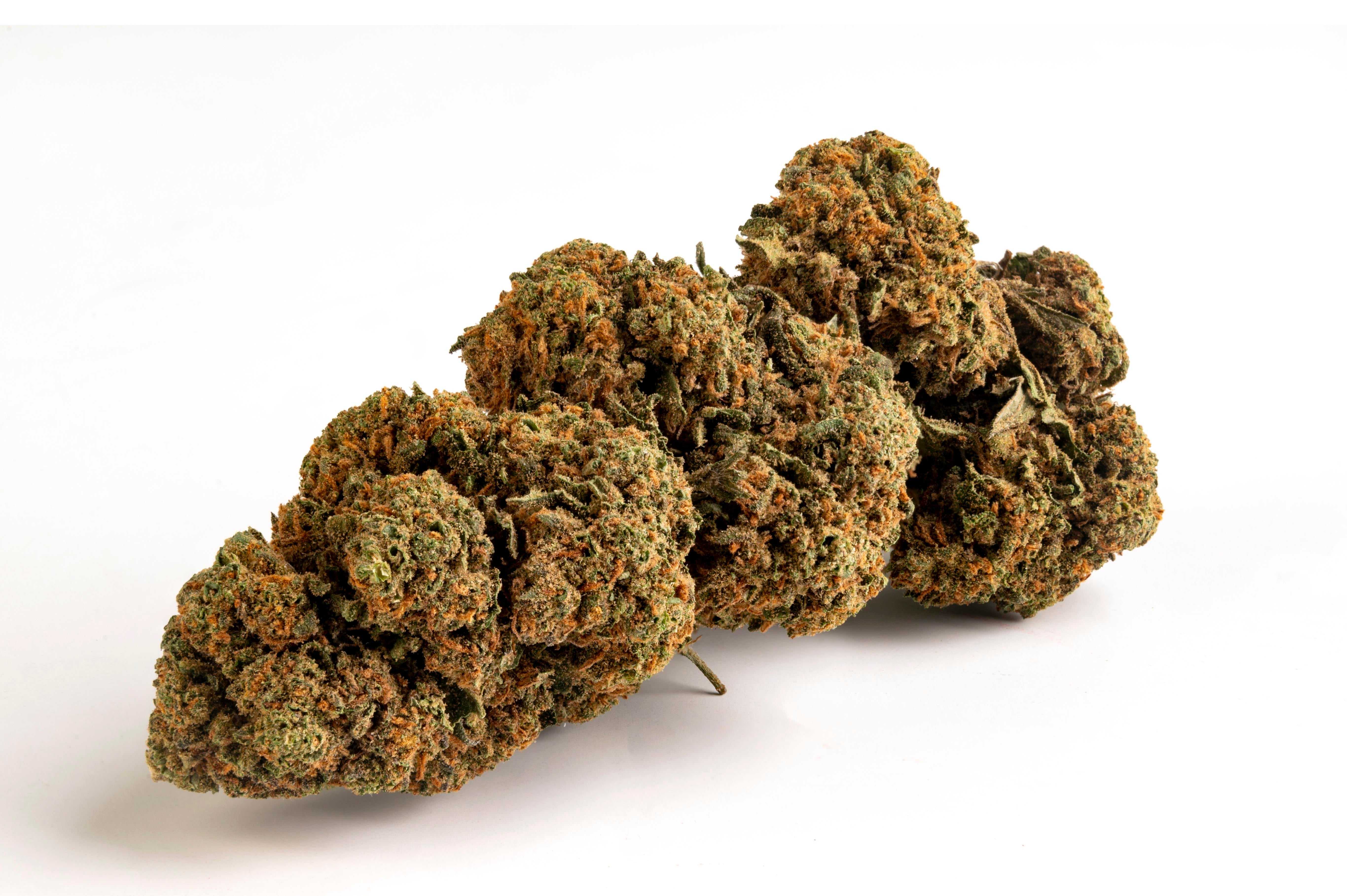 Cannabis Legale Orange Bud Outdoor - CBD