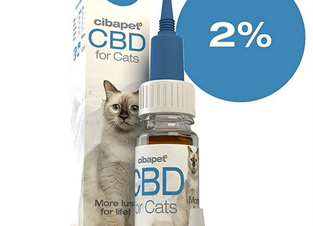 OIL CBD PER GATTI 2%