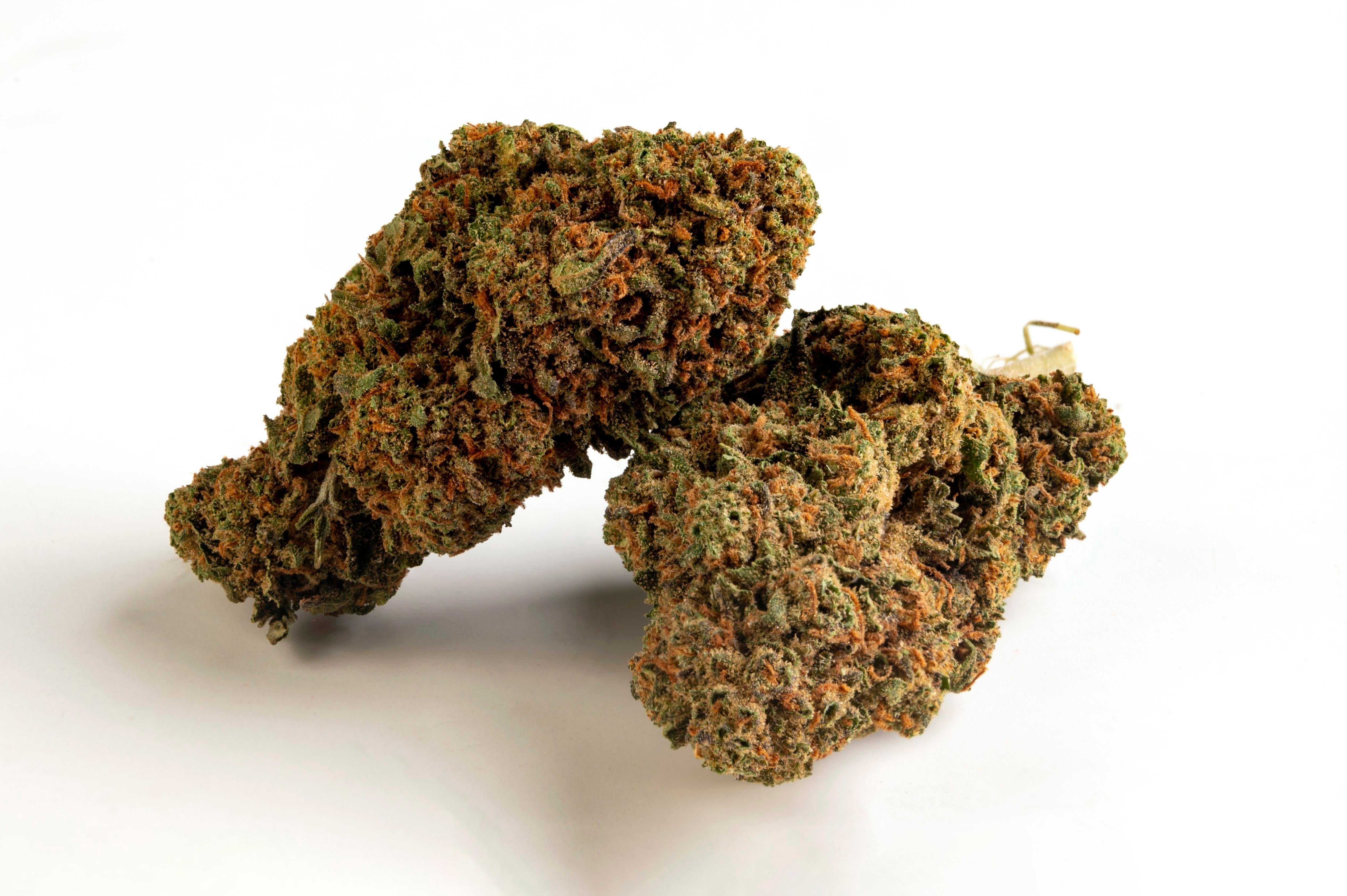 Cannabis Legale Orange Bud Outdoor - CBD