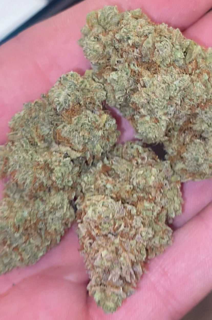 GREEN CRACK | CBD | CANNABIS LIGHT | INDOOR TOP QUALITY U.S.A 🇺🇸