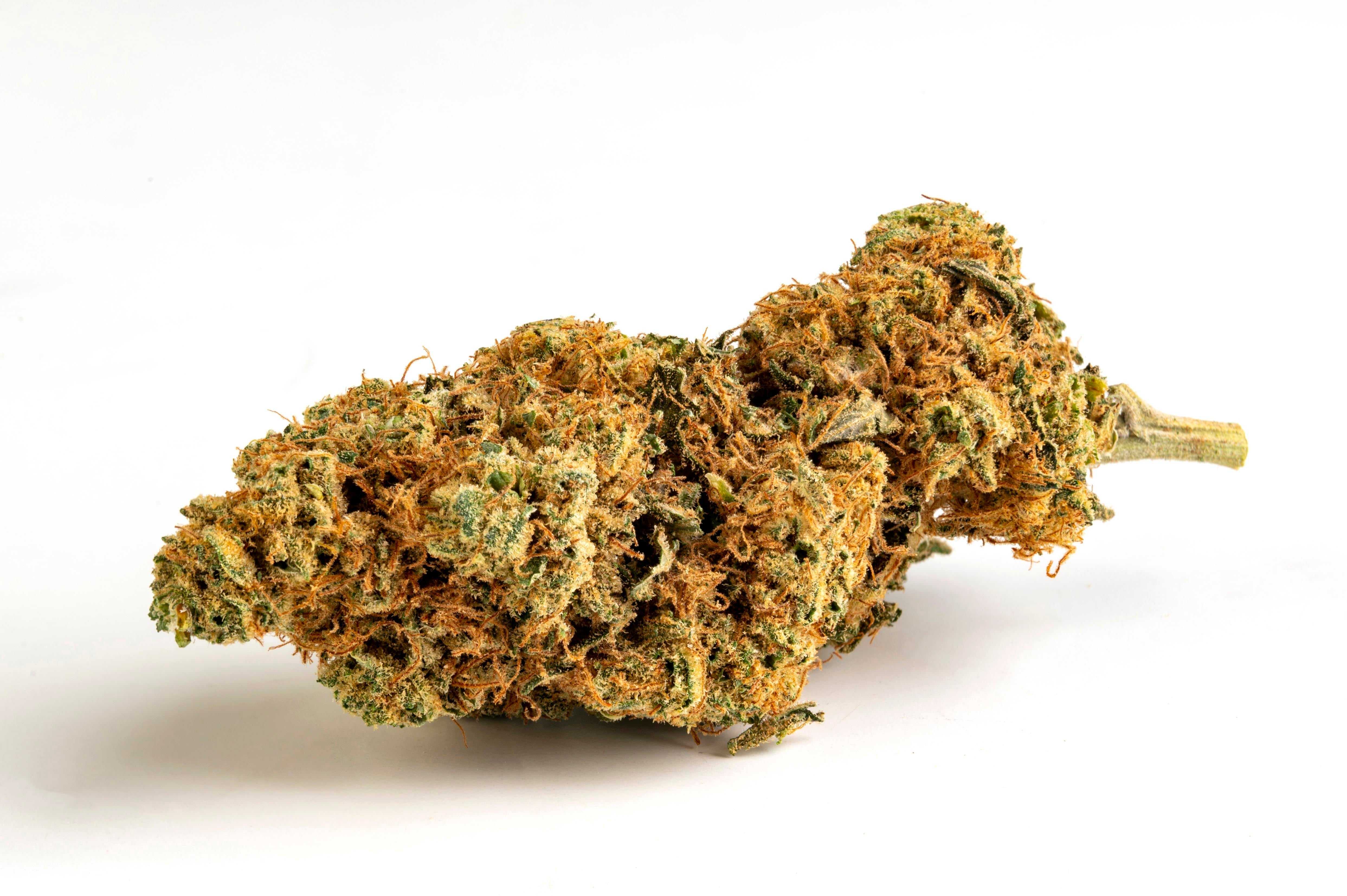 FORBIDDEN FRUIT CBD INDOOR