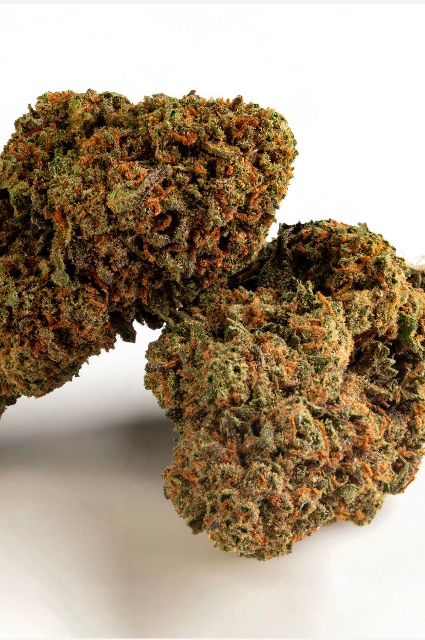 Cannabis Legale Orange Bud Outdoor - CBD