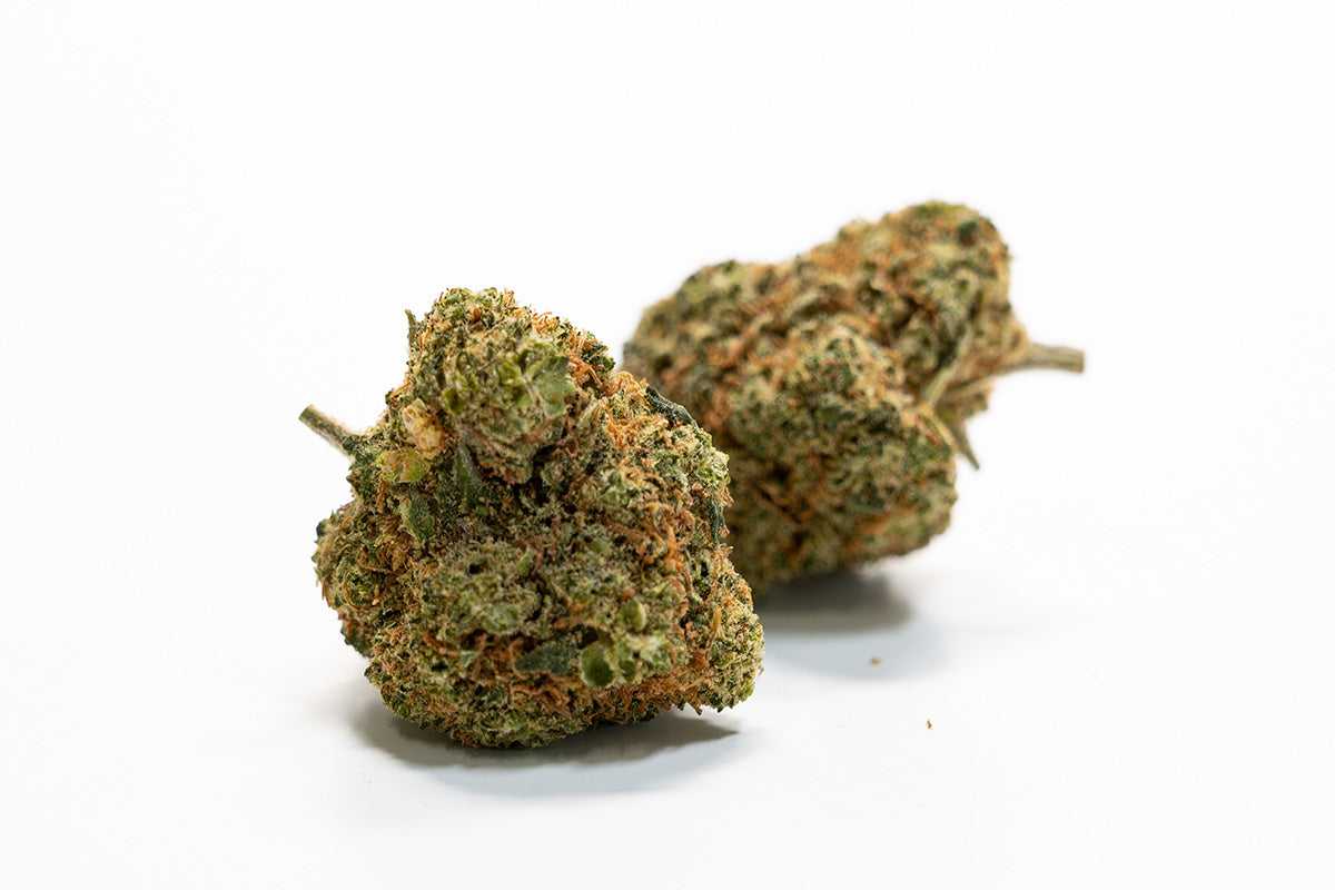 ROYAL CHEESE CBD TOP QUALITY