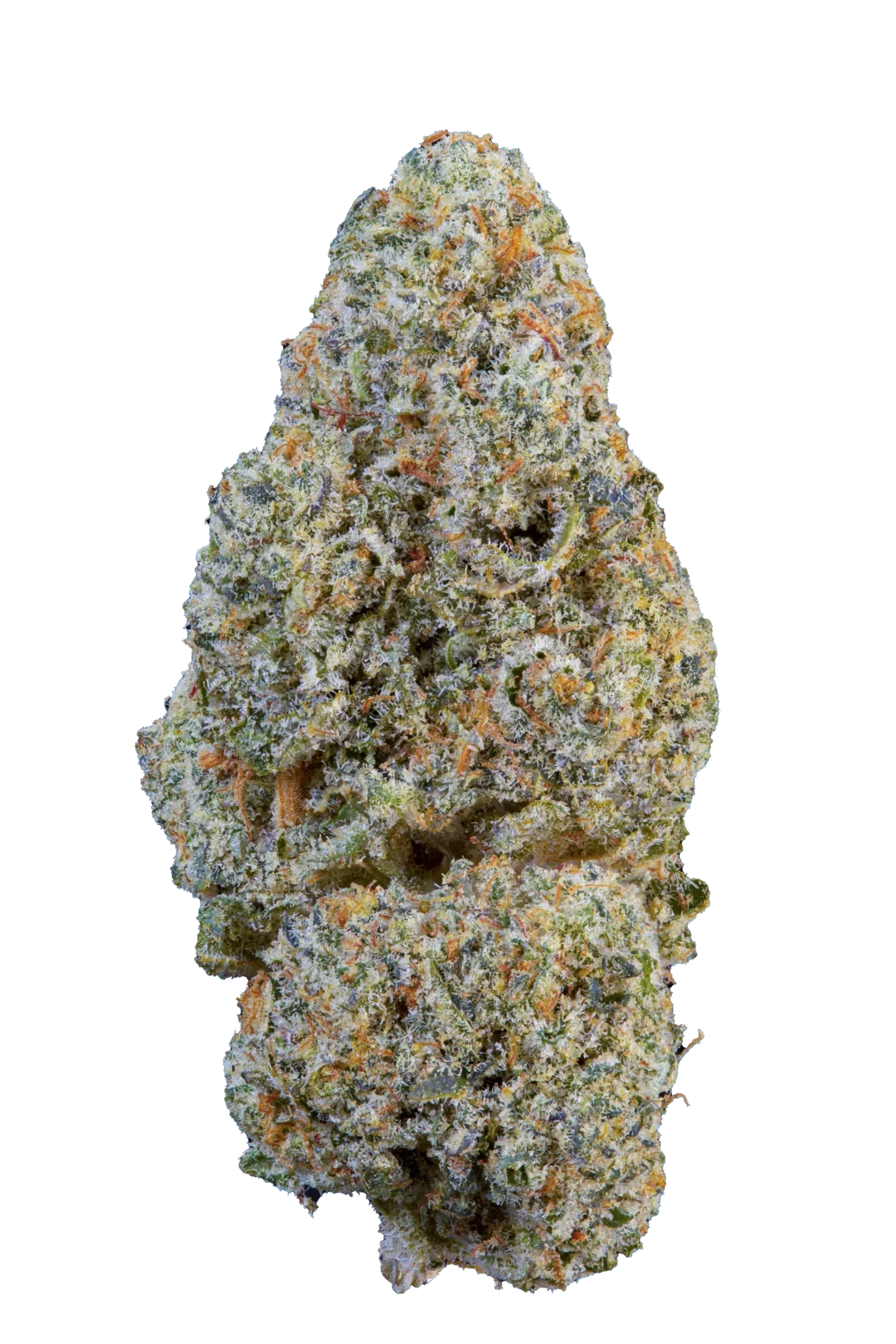 Snowing in Dam cannabis light cbd di Be Green infiorescenze indoor premium 16% di cbd altissima qualità fiori densi e resinosi