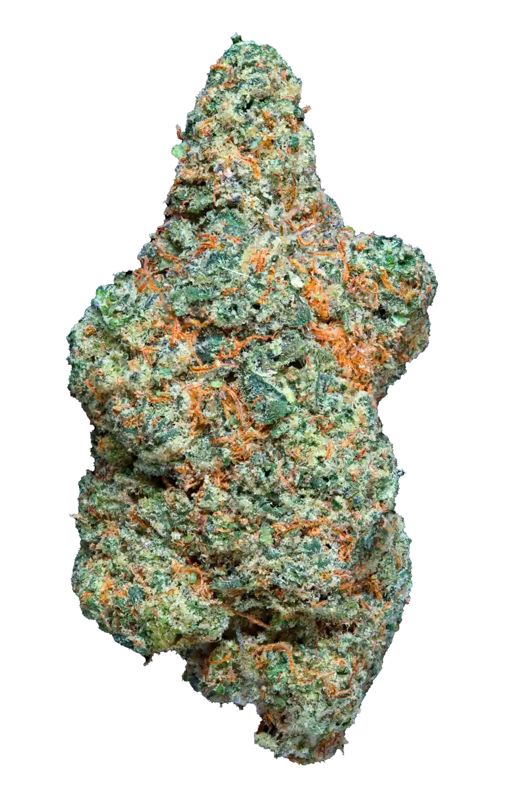 swizzlers cbd cannabis light di altissima qualita , dolce e fruttata