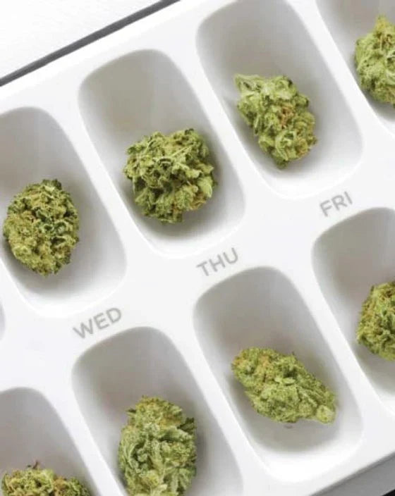 cannabis light cbd 