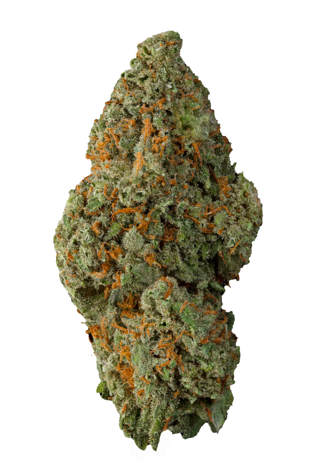 Mont Blanc - Cbd- Cannabis Light - Greenhouse - Novità