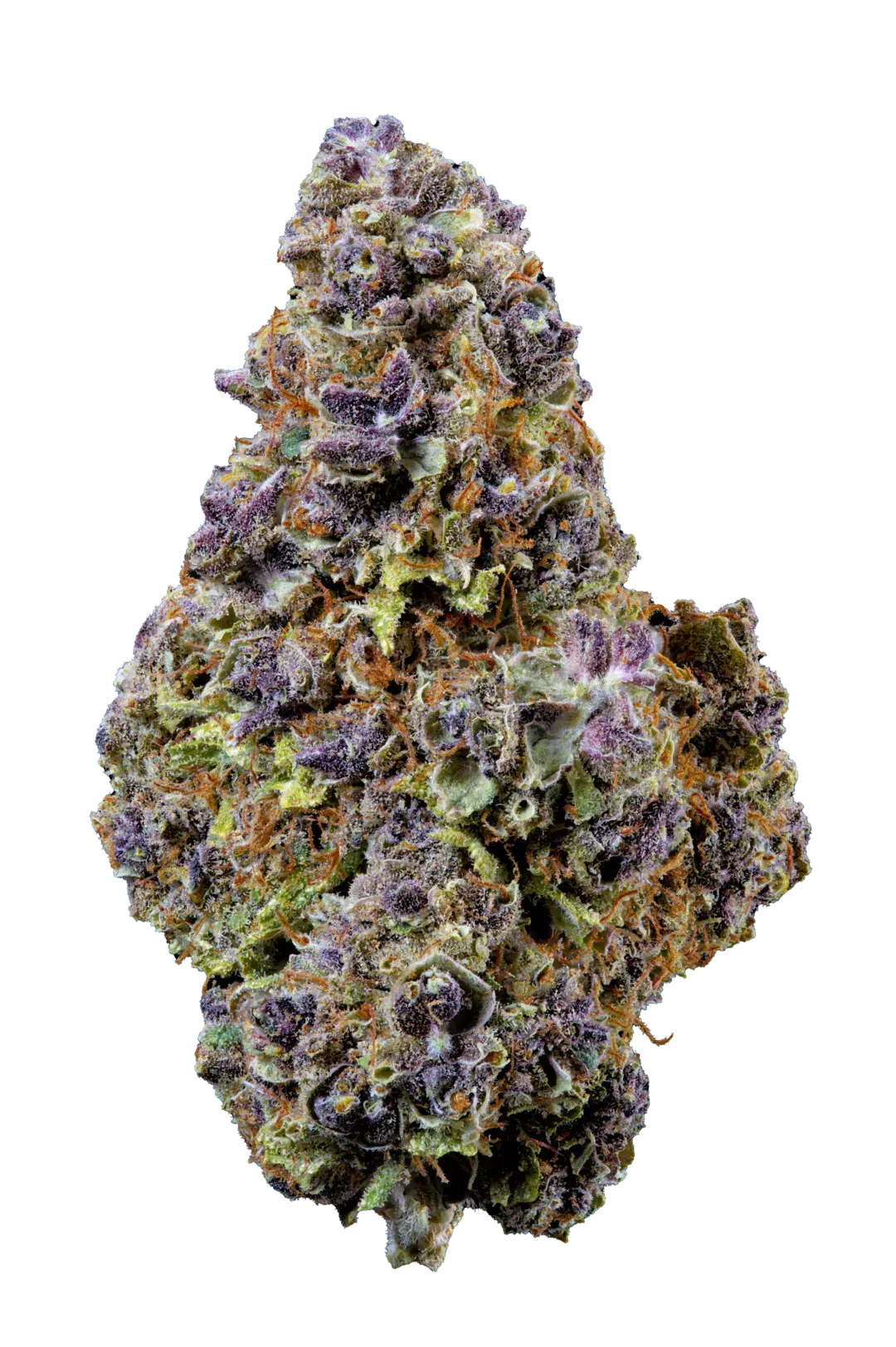 pink void  - cannabis light - erba legale - premium - indoor - top quality