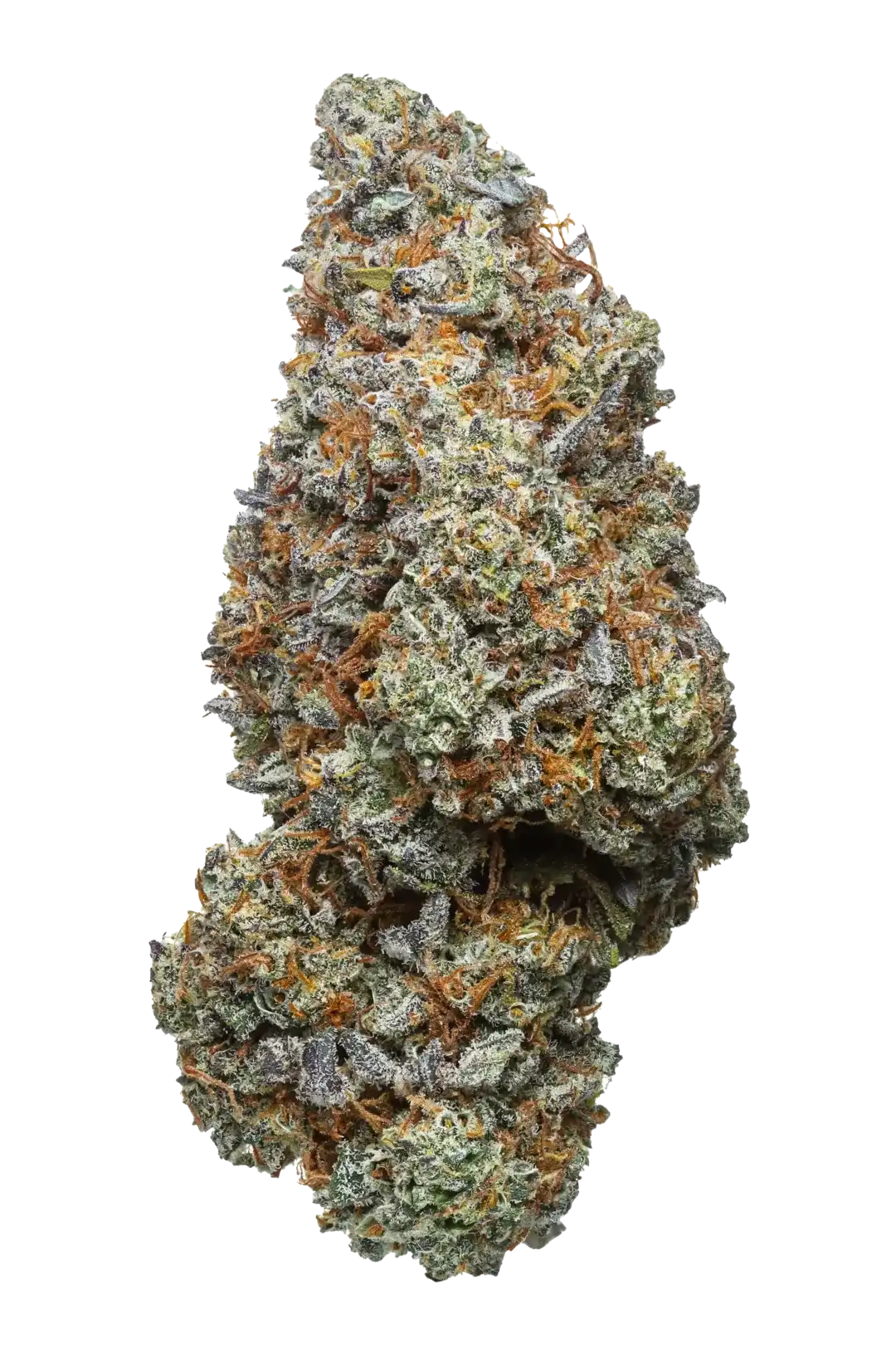 Cannabis light SLURP – cime CBD dense, profumo cremoso e dolcezza irresistibile.