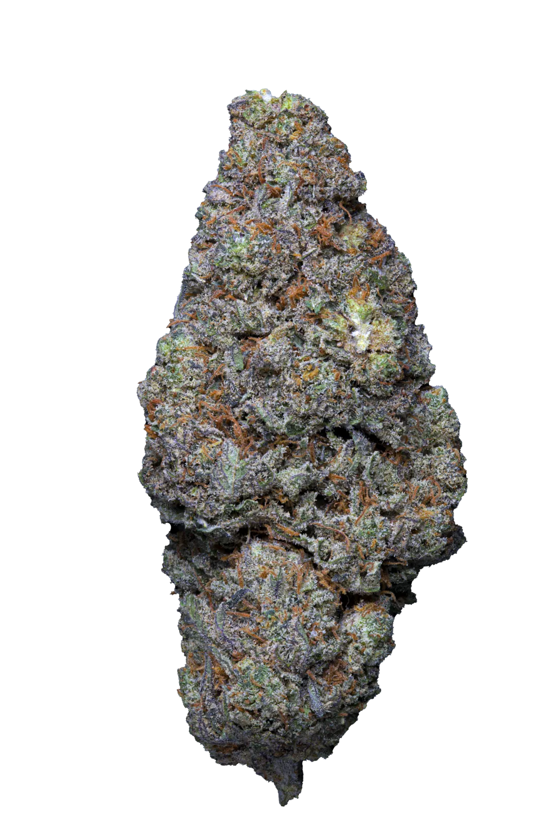 Galactic Crunch - Cannabis Light Cbd - Indoor Premuim U.S.A