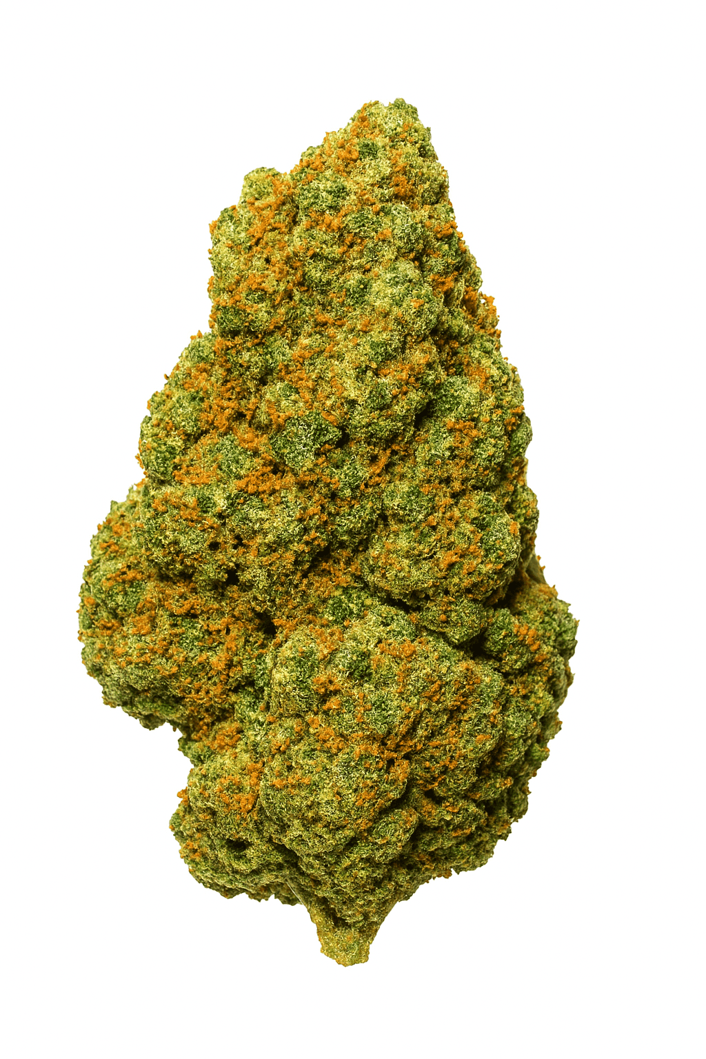 cannabis light indoor big nuts fiori di cbd 