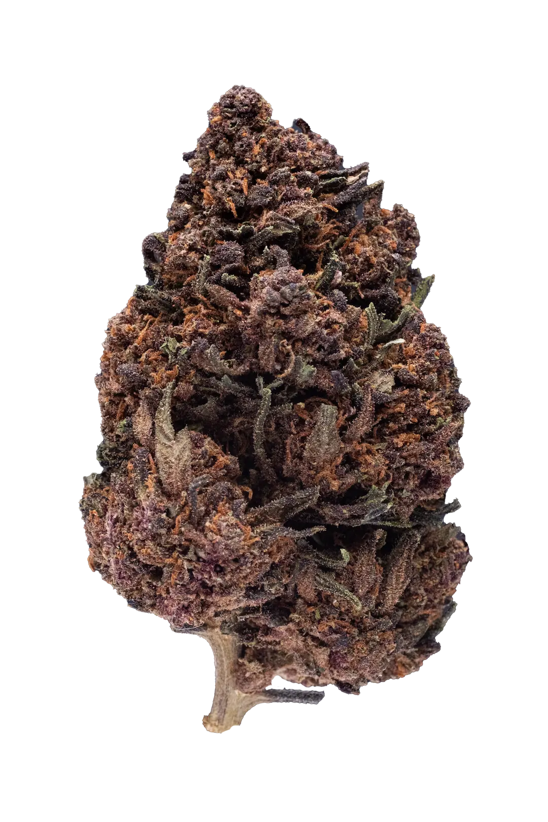 Cannabis Light - Pink Lady Cbd - Greenhouse