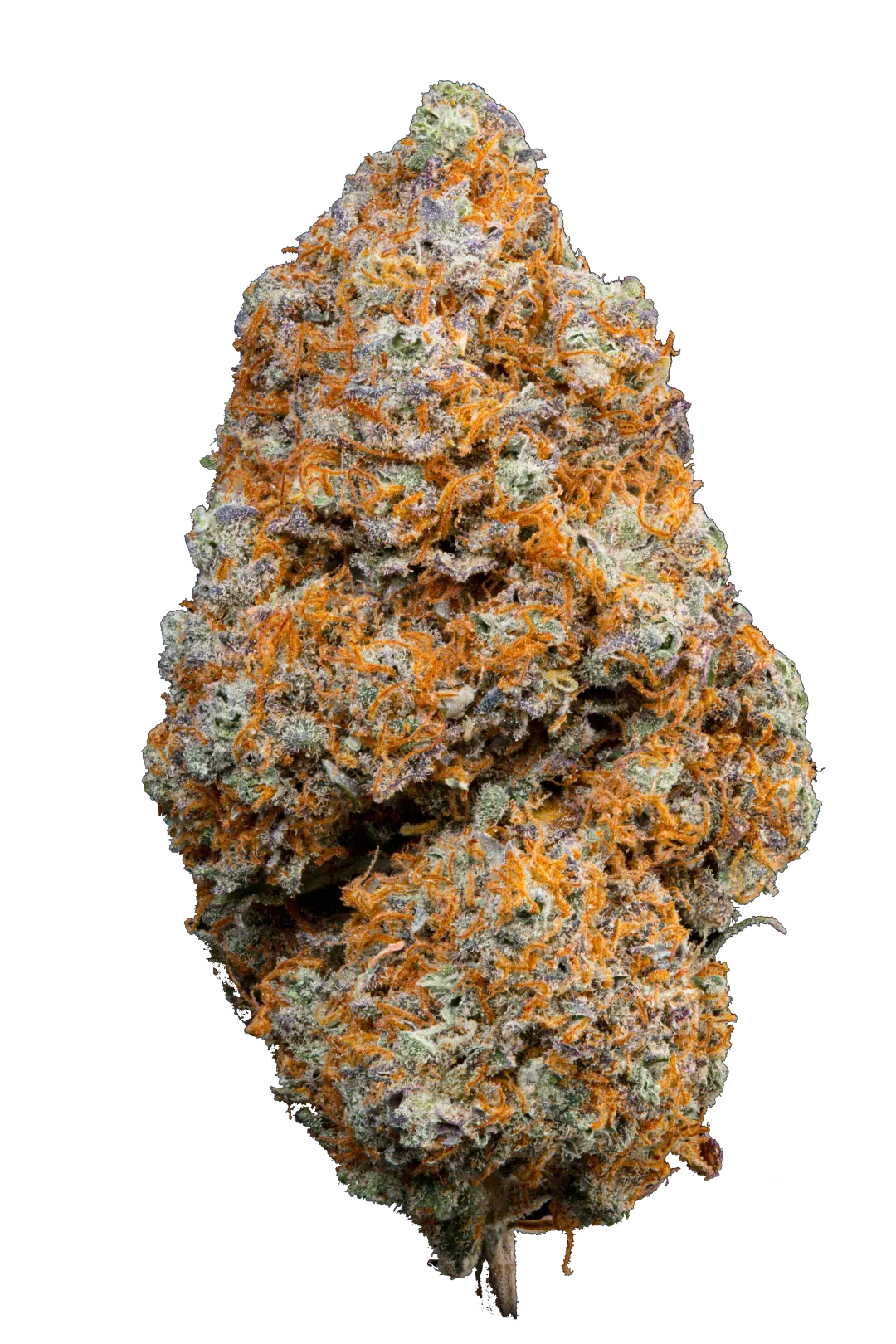Tropical Dream - Cannabis Light - Cbd - Indoor Top Quality