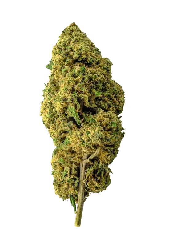 BubbleGum CBD Small Buds Cannabis Light Outdoor