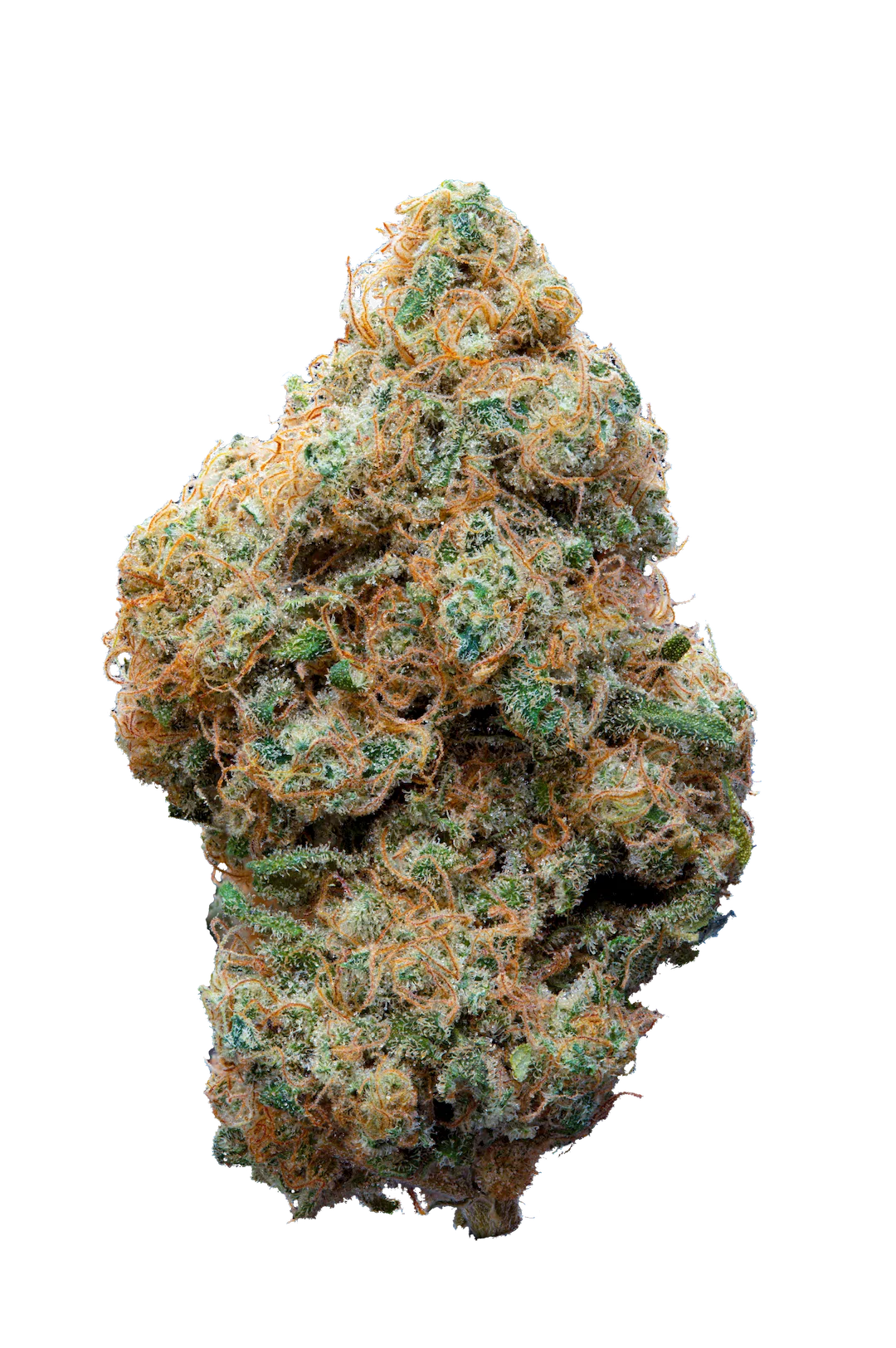 F.O.G  - Cannabis Light - Cbd - Indoor Top Quality - Novita'