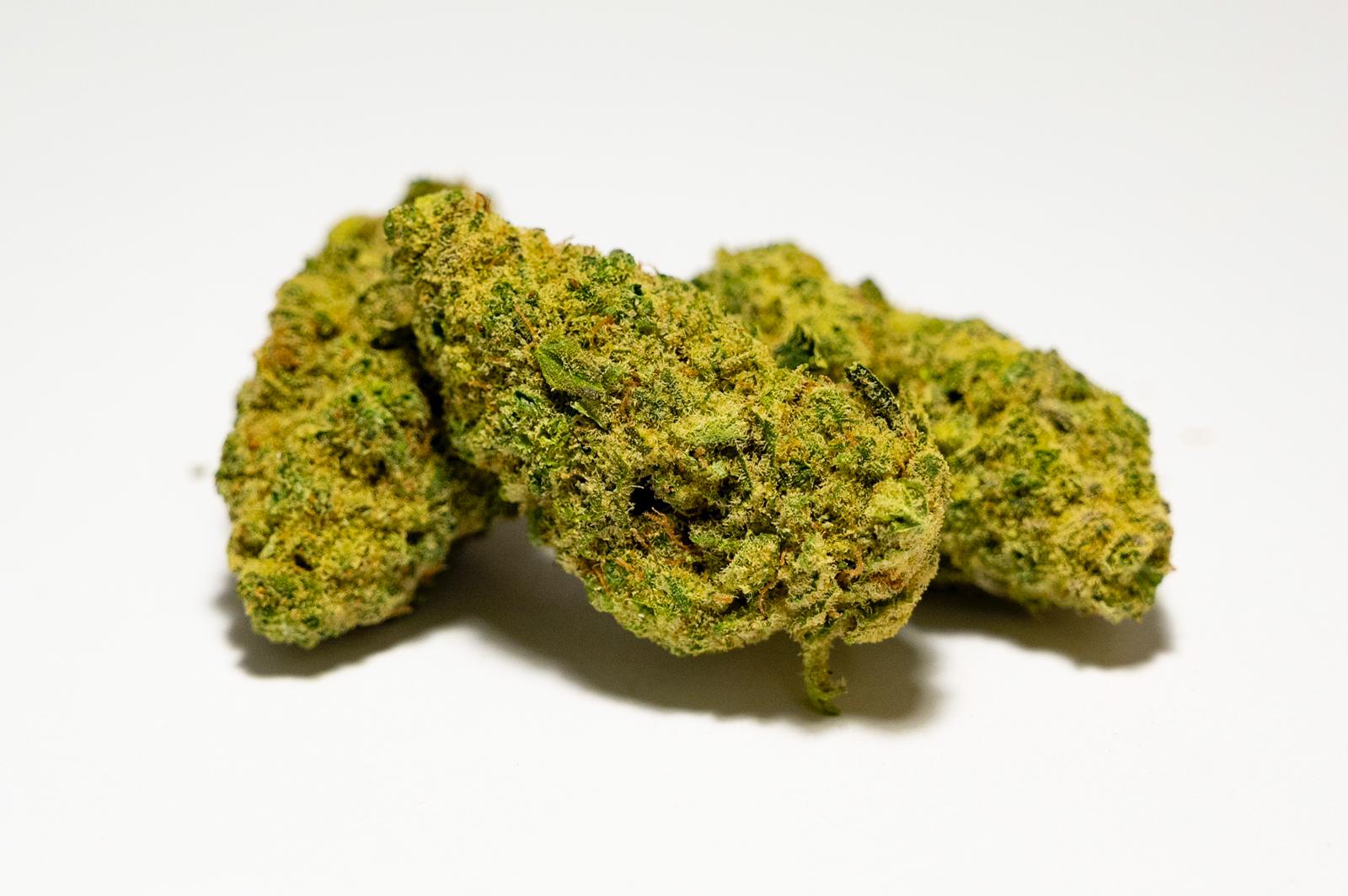 Jungle Kush - Cbd- Cannabis Legale - Glasshouse