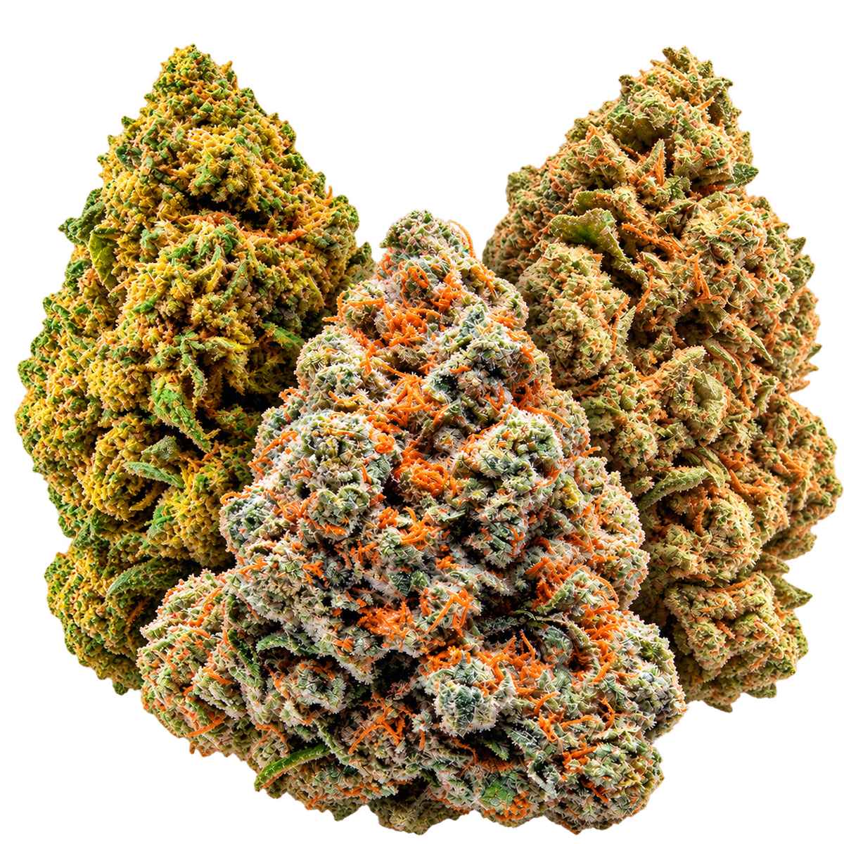 SMALL BUDS - MIX